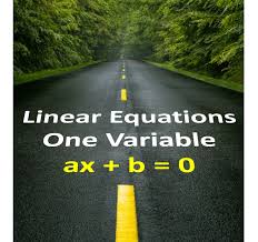 cbse class 8 linear equations in one