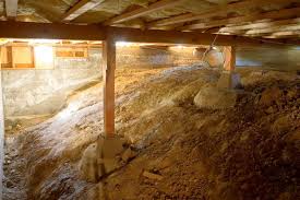 Water Damage In Your Crawl Space Abbotts
