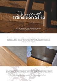transition strip