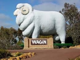 Giant Ram Wagin Australia Atlas