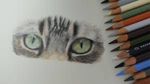coloured pencil works and courses