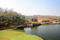 Private Half-Day Trekking Tour to Ranthambore...