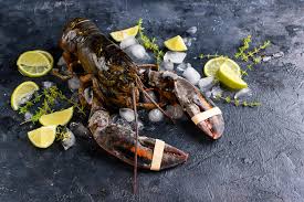 how to reheat lobster 4 simple methods