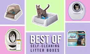 Best Self Cleaning Litter Boxes Of 2022