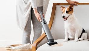 Best Handheld Vacuums For Pet Hair 2023