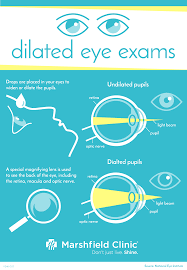 Seeing The Benefits Of Dilated Eye Exams Eye Exam Eyes