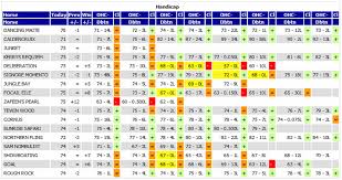 Horse Racing Ratings Explained Racexpert Com
