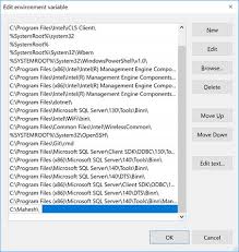 path environment variable on windows 10