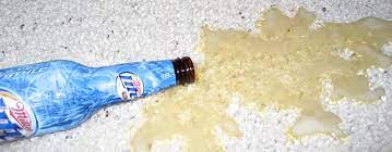 how to remove spilled beer from carpet