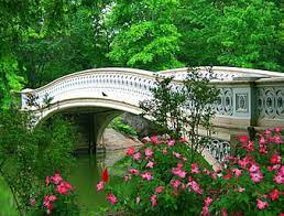 HD-wallpaper-central-park-bow-bridge-in-spring-pretty-beautiful-central-park-bridge-green-flowers-river-reflection-lovely-greenery-emerald-america-spring-trees-bow-bridge-new-york-nature-branches-thumbnail.jpg