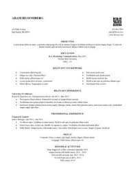 Internship Resume Template Example Document And Resume