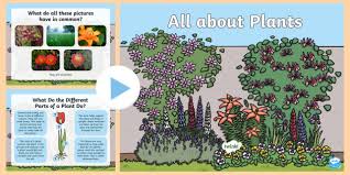 About Plants Powerpoint Plant Science