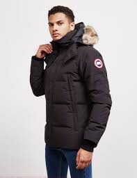 Canada goose produces extreme weather outerwear since 1957. Best Canada Goose Wyndham Padded Parka Jacket Canada Goose Outlet Belgium Cheap Canada Goose Outlet Online In Uk Black Friday Sale