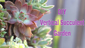 diy vertical succulent garden spring