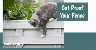 Cat Proof Fence Options Ultimate