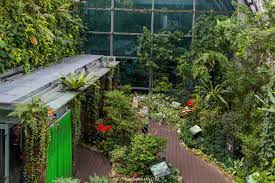 beautiful singapore erfly garden