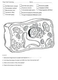 11 best images of heart anatomy and physiology worksheets heart diagram blood flow worksheet. Biologycorner Com Animal Cell Coloring Key Animal And Plant Cell Coloring Feel Free To Share Your Comment With Us And Our Followers At Comment Box At The Bottom Page Finally You