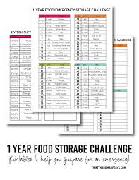 1 year food storage challenge thirty