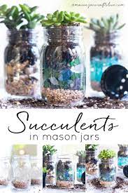 Summer Succulent Mason Jar Planters