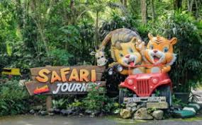 Check spelling or type a new query. Kebun Binatang Di Indonesia Beserta Daerahnya Yang Terbaik Arena Wisata Tour And Travel Terpercaya