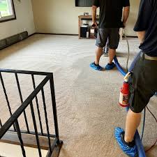 dry carpet cleaning near mentor oh