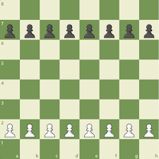 chess com