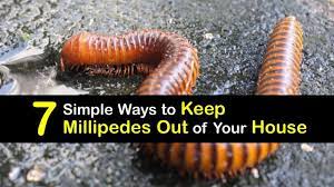 Keeping Millipedes Out Of The House