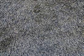 loop vs cut pile carpet differences