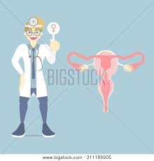 As part of a woman's reproductive cycle (which usually lasts about a month), the lining of the corpus (endometrium) thickens. Doctor Holding Woman Vector Photo Free Trial Bigstock