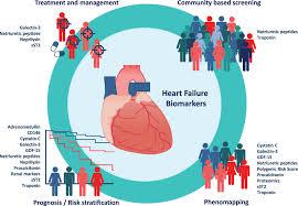 Circulating Heart Failure Biomarkers