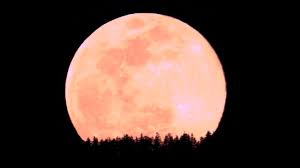 Pink Moon to rise on the night of April 23