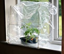These genius diy mini greenhouse ideas cost next to nothing to build, but are invaluable when it comes to protecting your seedlings and tender don't worry if you're not a carpenter or handyperson: 30 Ultimate Diy Indoor Greenhouse Ideas For Smart Gardening