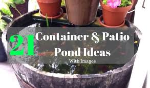 21 container pond ideas patio pond