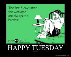 Tuesday meme, funny happy tuesday. Tuesday Funny Work Quotes Quotesgram