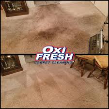 carpet cleaning near willimantic ct