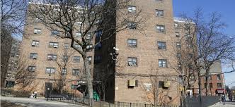 one public housing family in new york