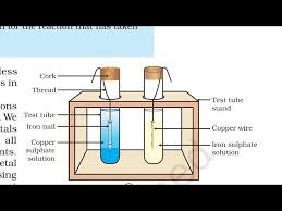 cl10 science chapter3 activity 3 12