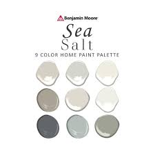 Benjamin Moore Sea Salt Paint Color