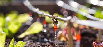 Planning Irrigation For Your Garden