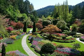 breathtaking butchart gardens and high