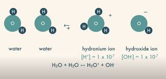 Is Hydronium A Base Or Acid A