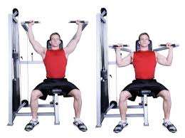 machine shoulder press bodybuilding