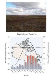 Terrestrial Biomes Learn Science At Scitable
