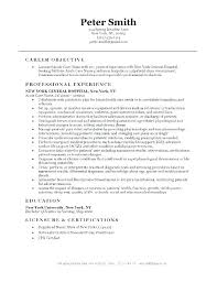 Nurse Resume Objective Sample Nurse Resume Objective Statements