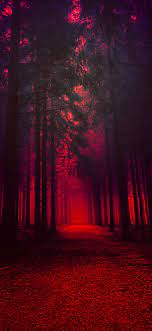 1080x2340 Red Forest 1080x2340 ...