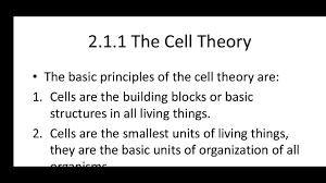 grade 10 biology chapter 2 2 1 and 2