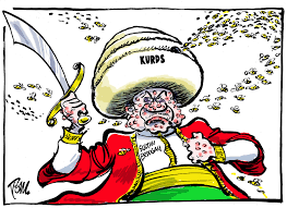 Risultati immagini per erdogan against kurds caricature