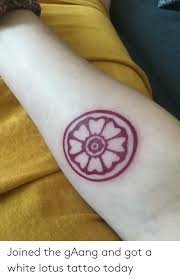 Avatar the last airbender symbol order of the white lotus white lotus tile with nation symbo avatar tattoo white lotus tattoo avatar the last airbender art Joined The Gaang And Got A White Lotus Tattoo Today Lotus Meme On Me Me