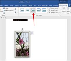 picture or screenshot in word doent