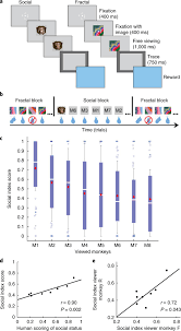 Shared Neural Coding For Social Hierarchy And Reward Value